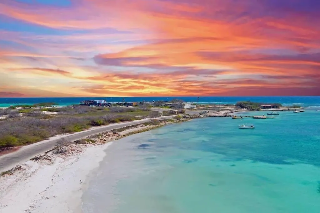 Contacts de Oceanparadise Aruba